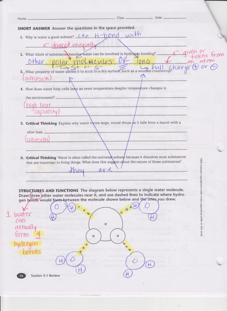 Worksheet Prentice Hall Chemistry Worksheet Answers Grass Fedjp 