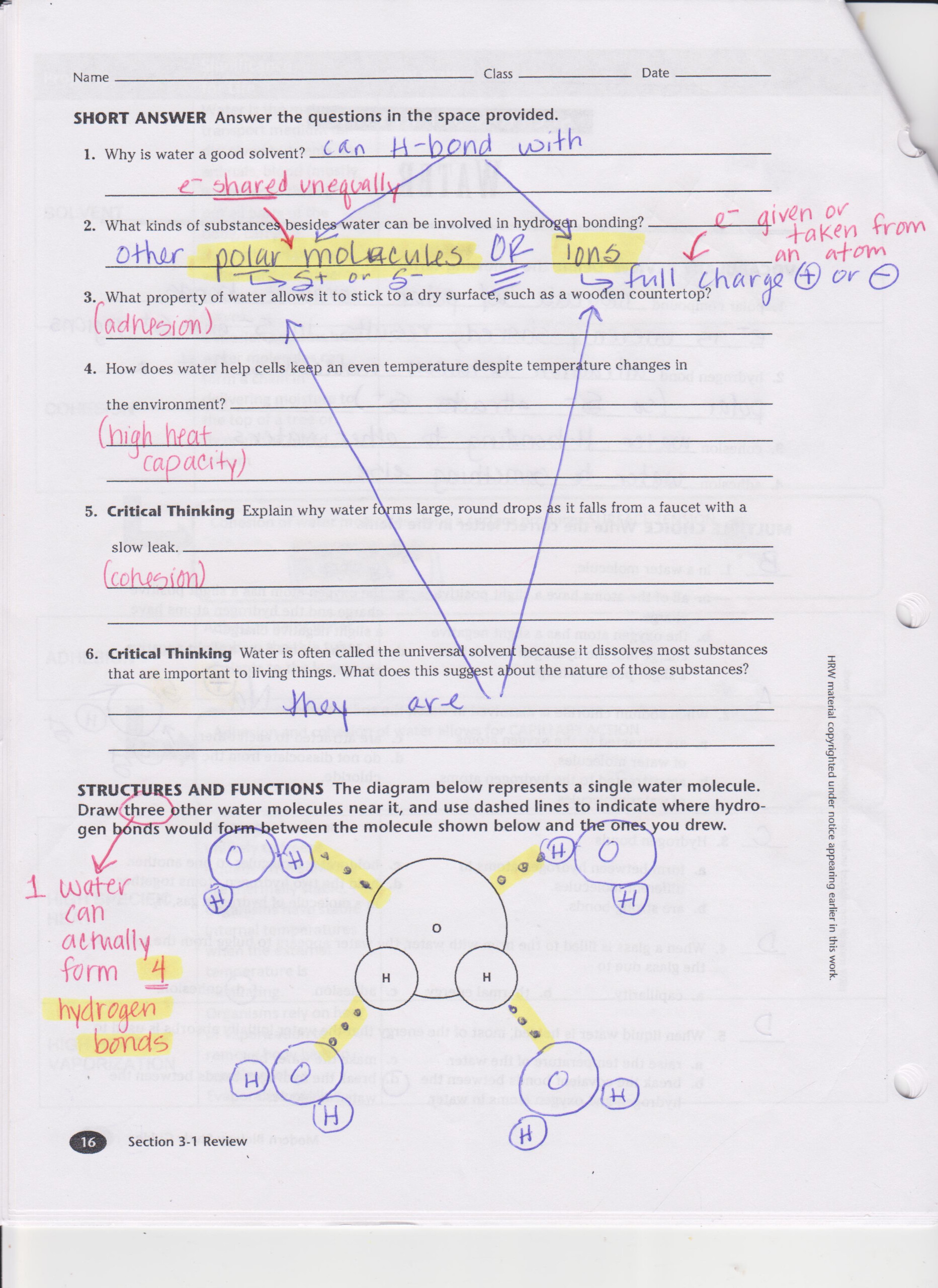 Worksheet Prentice Hall Chemistry Worksheet Answers Grass Fedjp 