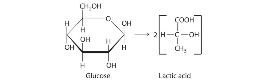 262 Balancing Chemical Equations Answer Key Metal Reactions Dilute 