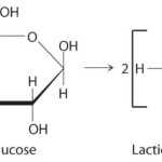 262 Balancing Chemical Equations Answer Key Metal Reactions Dilute