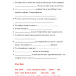 34 Chemistry Of Living Things Worksheet Answers Support Worksheet