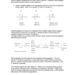 41 Worksheet 7 Oxidation Reduction Reactions Answers Combining Like