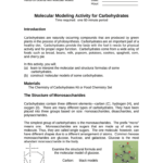 43 Chemistry Of Carbohydrates Worksheet Answers Worksheet Master