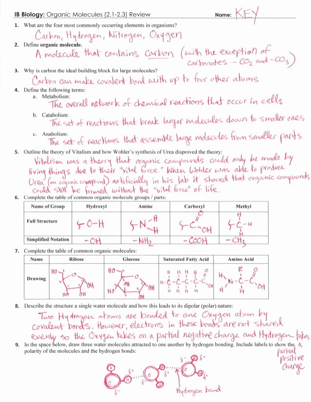 50 Organic Chemistry Worksheet With Answers Chessmuseum Template Library