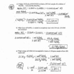 Amazing Mole To Mole Worksheet Answers The Blackness Project