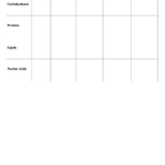 Biological Molecules Chart Printable Pdf Download