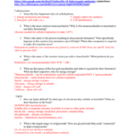 Biological Molecules Worksheet Answers Ivuyteq