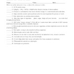 Cellular Respiration Review Worksheet Answer Key Properinspire