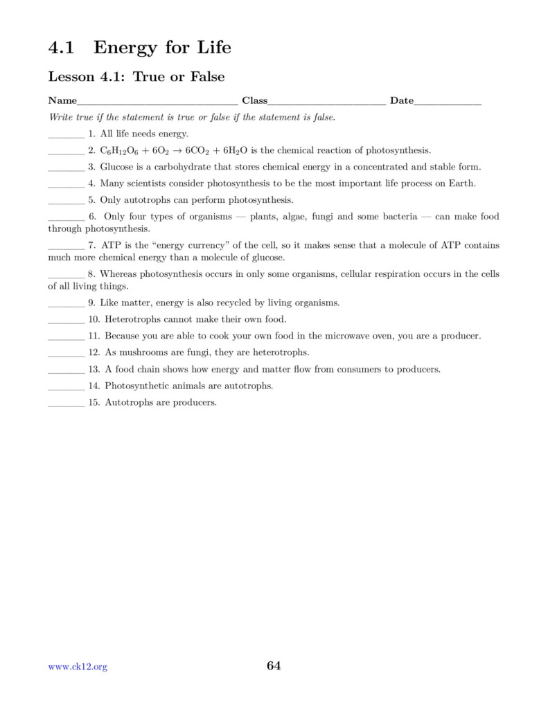 Cellular Respiration Review Worksheet Answer Key Properinspire