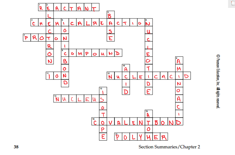 Chapter 2 The Chemistry Of Life Answer Key Section 2 4 Cambiare Il 