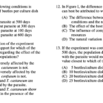 Chapter 3b Macromolecules Worksheet Answers Kidsworksheetfun