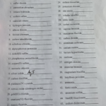 Chemical Formulas And Nomenclature Worksheet Answers Worksheet List