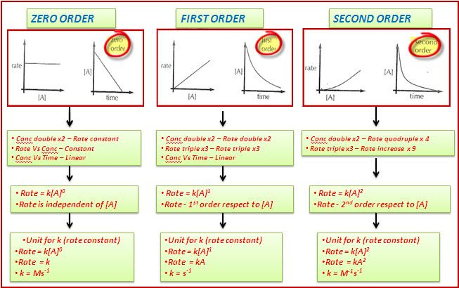 Chemistry Half Life Worksheet Answers Explore Worksheet