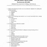 Chemistry Of Life Worksheet Answer Key Worksheet