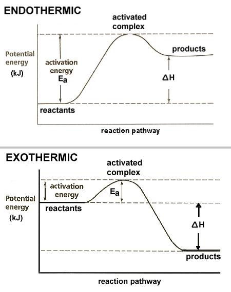 Exo And Endothermic Reactions Worksheet Exo 2020