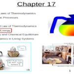 Free Energy Model 1 Spontaneous Processes Going Green