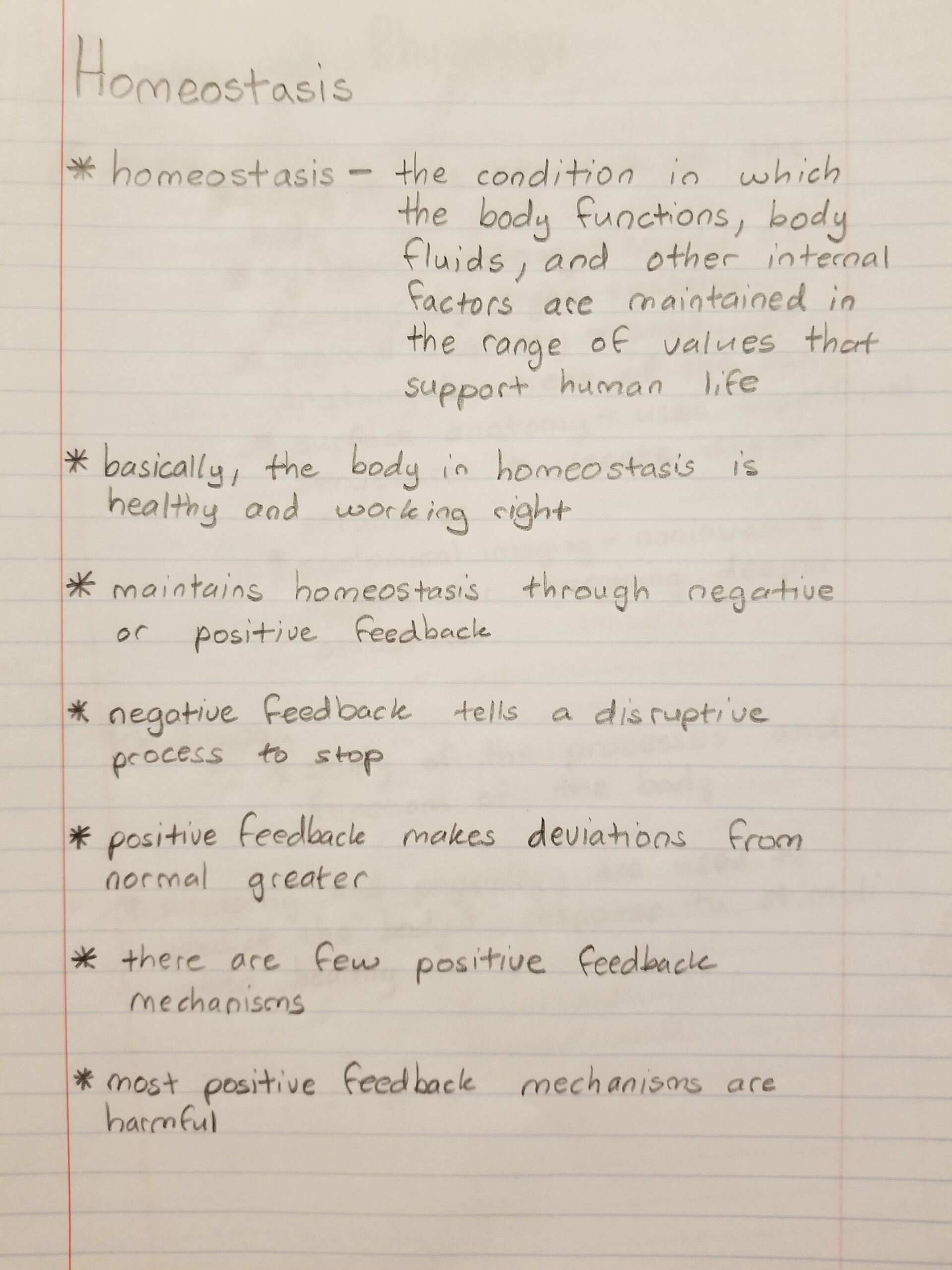  Graphing Review Worksheet Biology Answers Free Download Gambr co