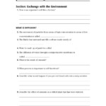 Holt Environmental Science Skills Worksheet Active Reading Answer Key