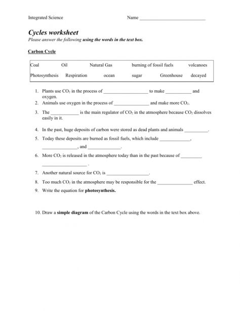 Life Insects Worksheet Answer Key Free Download Qstion co