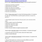 Mendelian Genetics Worksheet Answer Key Education Template