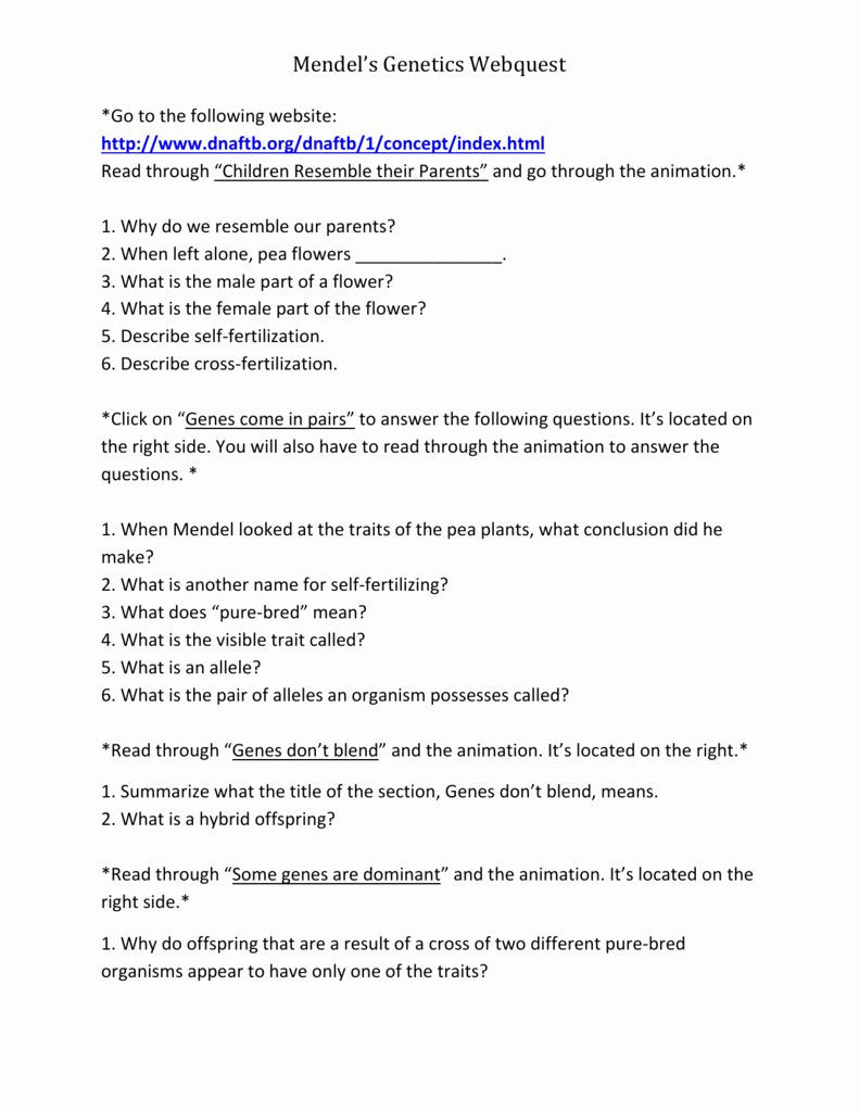 Mendelian Genetics Worksheet Answer Key Education Template