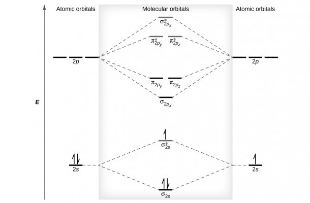 Molecular Orbital Theory Worksheet