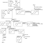 Organic Chemistry Reactions Worksheet Free Download Gambr co