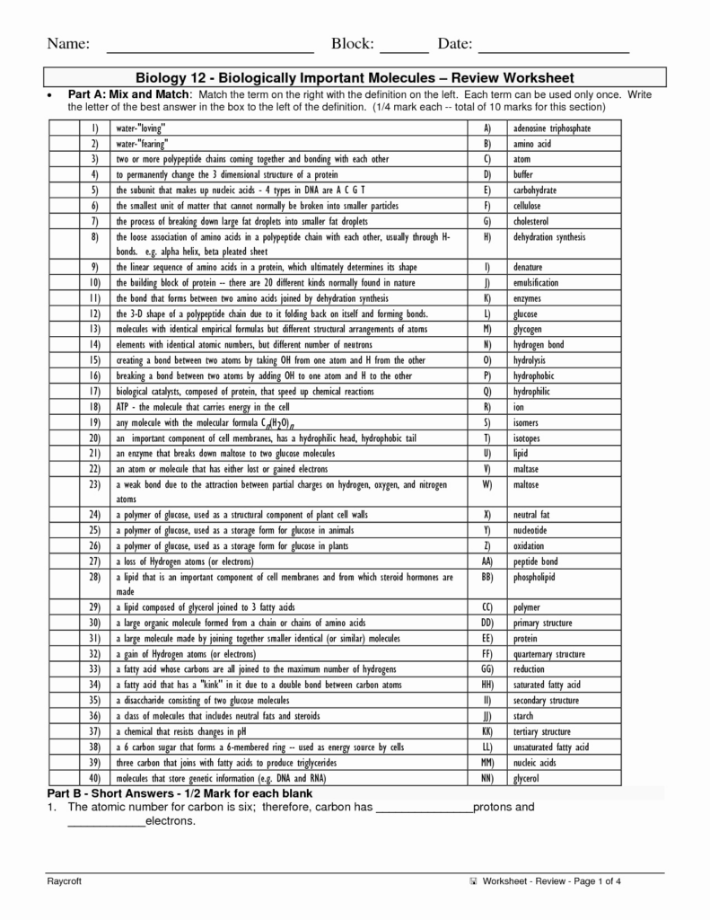 Organic Molecules Worksheet Answers