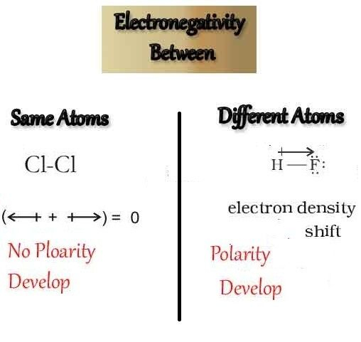 Polarity And Electronegativity Worksheet Printable Worksheet Template