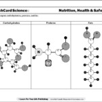 Protein Worksheet