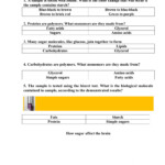 Proteins Fats Carbohydrates Worksheet