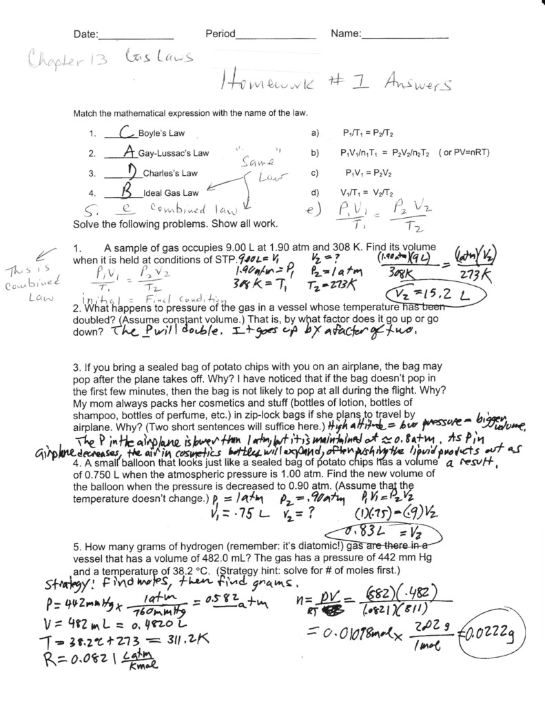 Read Book Chapter 2 The Chemistry Of Life Worksheet Answers PDF 