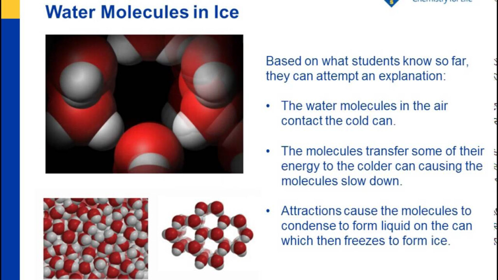 Water Molecule Model Building Worksheet Answers Ivuyteq