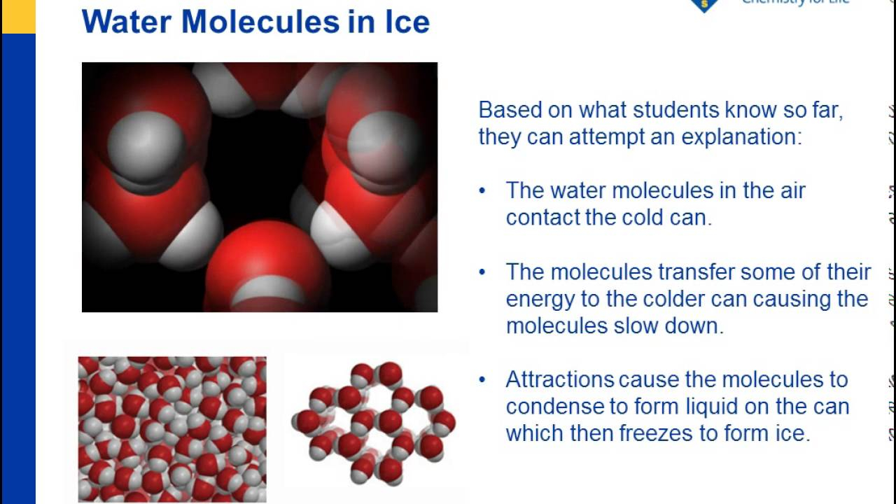 Water Molecule Model Building Worksheet Answers Ivuyteq