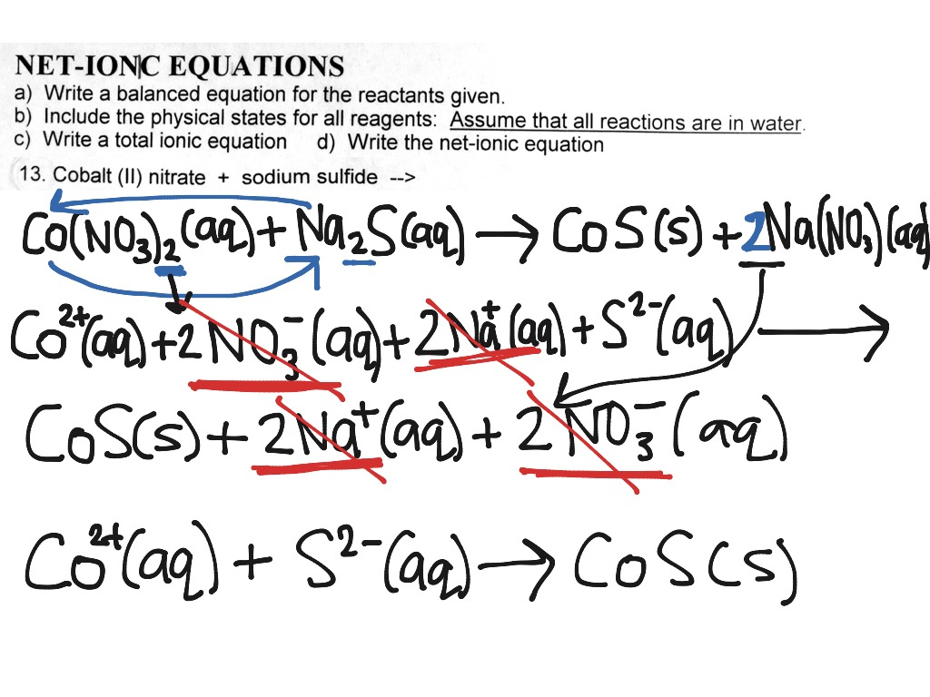 Worksheet Writing Net Ionic Equations Worksheet Grass Fedjp Worksheet 