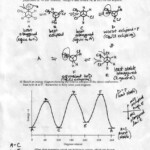 12 Organic Chemistry Nomenclature Worksheet Worksheeto