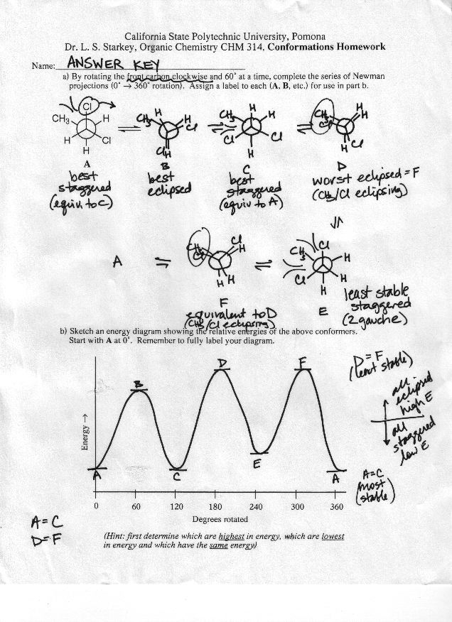 12 Organic Chemistry Nomenclature Worksheet Worksheeto