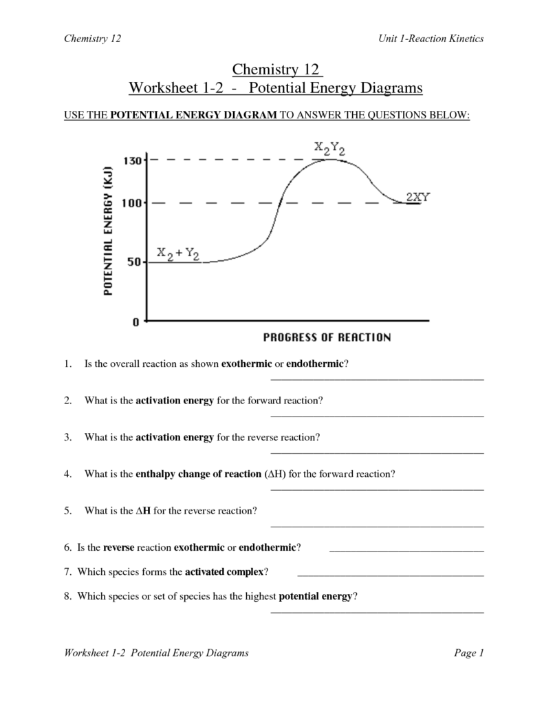 15 Potential Energy Worksheets With Answer Key Worksheeto