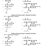 17 Naming Organic Compounds Worksheet Answer Worksheeto