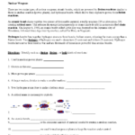 18 Nuclear Chemistry Worksheet Answer Key Worksheeto