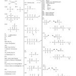 30 Organic Chemistry Worksheet With Answers Education Template