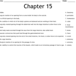 Chapter 15 Worksheet WordMint