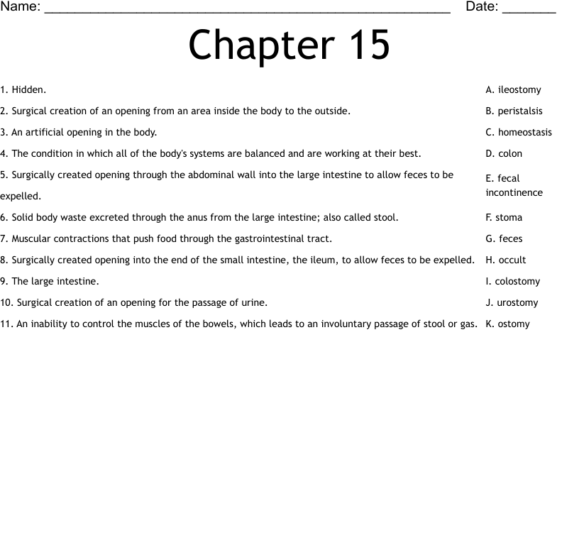 Chapter 15 Worksheet WordMint