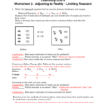 Chemistry Unit 8 Worksheet 3 Adjusting To Reality Db excel