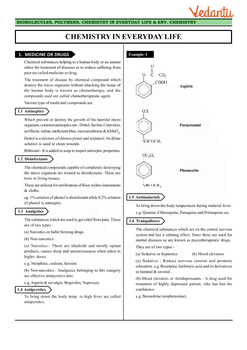 Class 12 Chemistry Revision Notes For Chapter 16 Chemistry In 