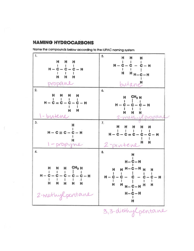 KEY Hydrocarbon Worksheet MS MCLARTY S CLASSES