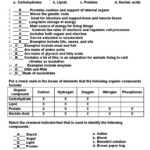 Organic Chemistry Worksheet With Answers