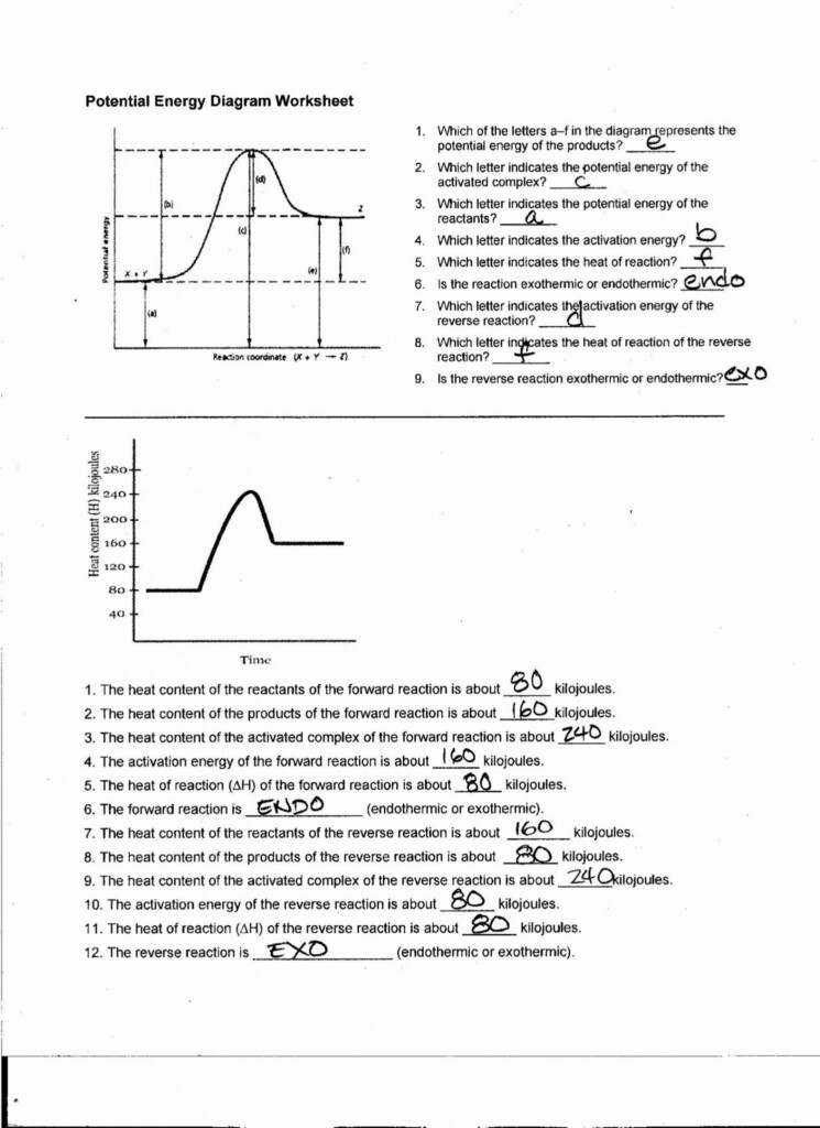  Potential Energy Diagram Worksheet Key Free Download Goodimg co