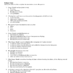 Section 11 1 Describing Chemical Reactions Worksheet Answers