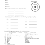 The Chemistry Of Life Worksheet Answers